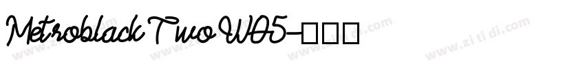 Metroblack Two W05字体转换
